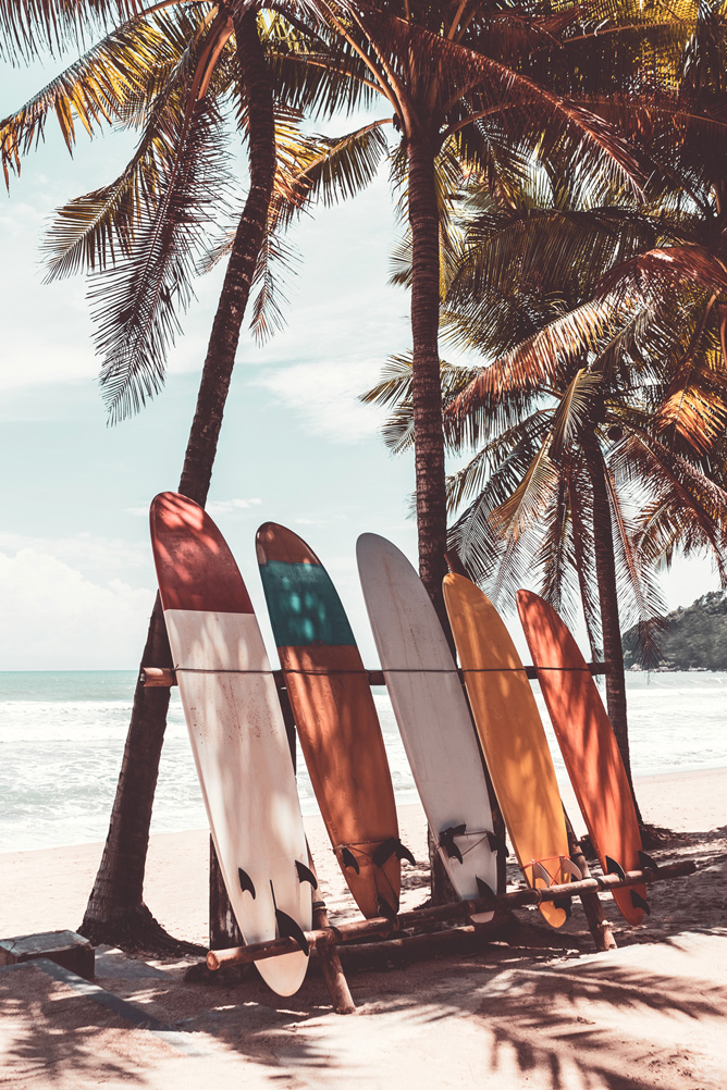 Vibrant surfboards leaning against a wall, ready for thrilling surf adventures by the ocean